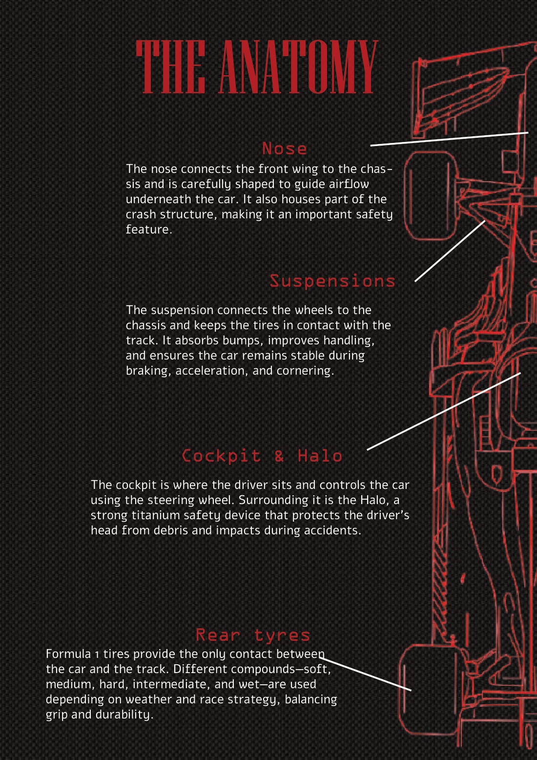 Pole Position magazine, the anatomy page