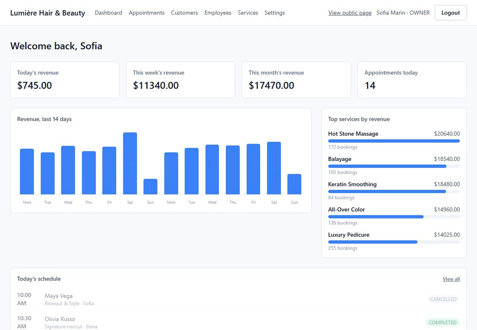 Lumière salon system, owner dashboard screen
